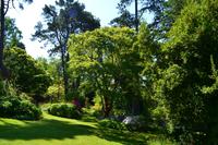 136 Knightshayes Court