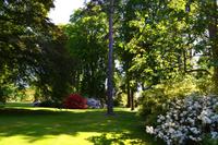 137 Knightshayes Court