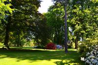 138 Knightshayes Court