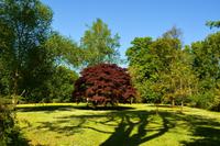 139 Knightshayes Court