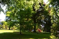 142 Knightshayes Court