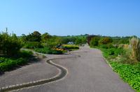 163 National Botanic Garden of Wales
