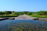 164 National Botanic Garden of Wales