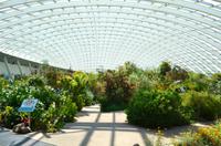 166 National Botanic Garden of Wales