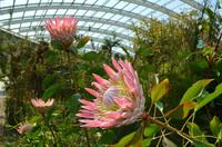 168 National Botanic Garden of Wales