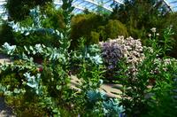 172 National Botanic Garden of Wales