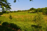179 National Botanic Garden of Wales