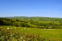 200 Landschaft bei Newtown