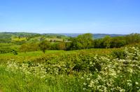 201 Landschaft bei Newtown