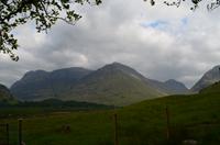 346 Glencoe Mountains