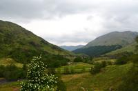 363 Glenfinnien Viadukt