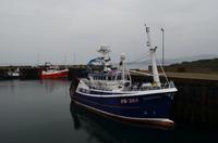 382 Hafen Mallaig