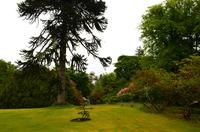 441 Isle of Skye, Dunvegan Castle