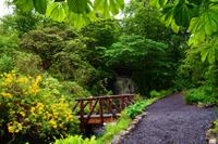 446 Isle of Skye, Dunvegan Castle