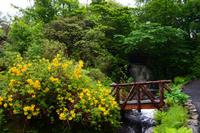 447 Isle of Skye, Dunvegan Castle