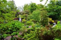 449 Isle of Skye, Dunvegan Castle