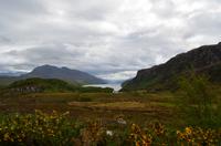 477 Loch Maree von Westen