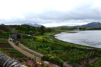 480 Inverewe Garden