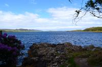 492 Inverewe Garden, Loch Ewe