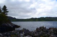 493 Inverewe Garden, Loch Ewe