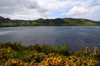 494 Inverewe Garden, Loch Ewe