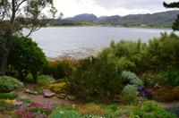 495 Inverewe Garden