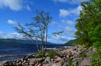 509 Loch Ness