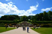 538 Alnwick Castle, Garden