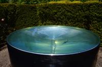 542 Alnwick Castle, Garden