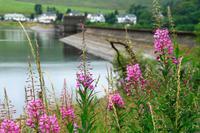 Wanderung am Carron Valley