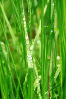 Wanderung am Carron Valley