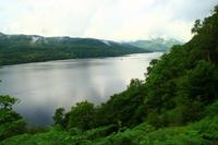 Wanderung am Loch Lomond