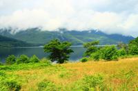 Wanderung am Loch Lomond