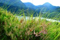 Wanderung am Loch Lomond
