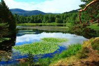 Wanderung am Loch An Eilean