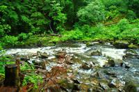 Spaziergang zu Ossian's Hall