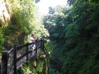 Shanklin Shine - Isle of Wight