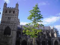 Exeter Cathedral