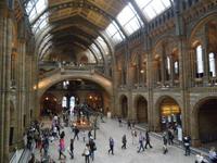 Natural History Museum