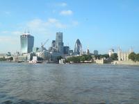 Tower und Essiggurke