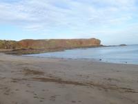 Steilküste bei Eyemouth