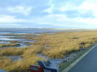 Holy Island Rückfahrt