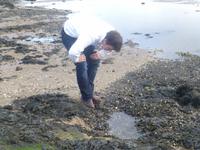 Christopher sucht Krebse...