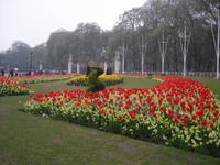 Vor dem Buckingham - Palast in London