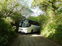 Budock Water - Hotelzufahrt!