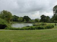 Glastonbury - innerhalb der ehemaligen Klosteranlage
