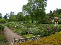 Killerton House - Parkanlage 