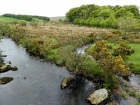 Postbridge - Flusslandschaft