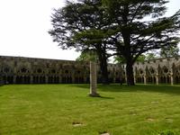 Salisbury - Kathedrale Kreuzgang 