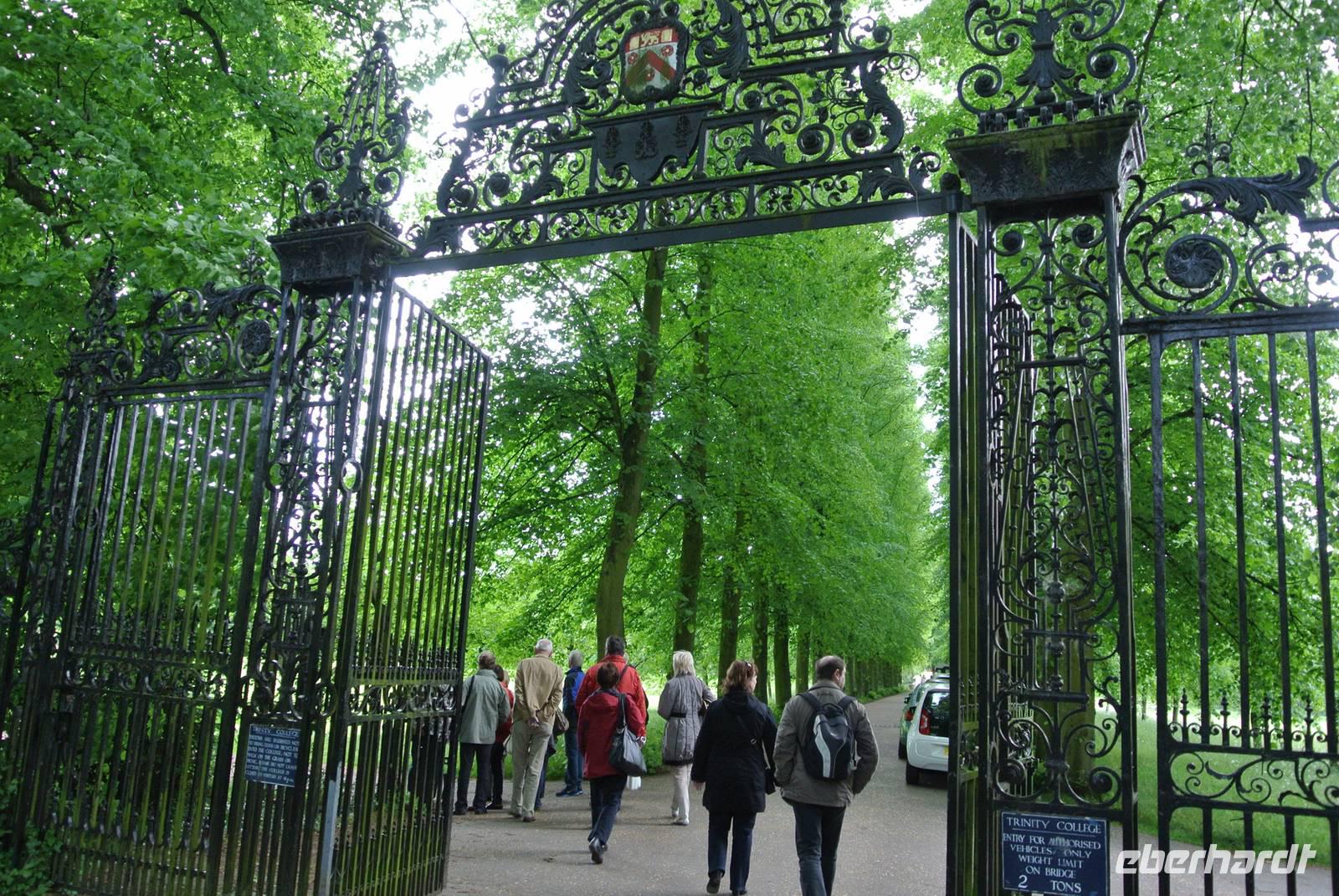 Ein Tor zur wahren Bildung